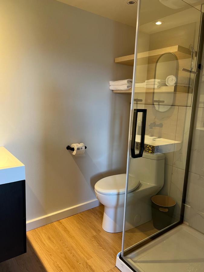 Paradis De Charlevoix - Loft Baie-Saint-Paul Exteriör bild
